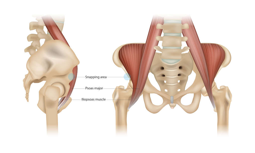 Psoas de spier van jouw ziel